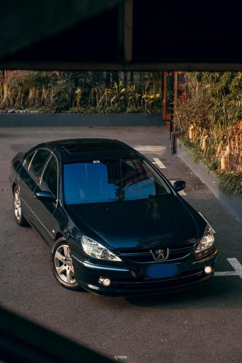 标致607报价及图片(标致608最新报价)