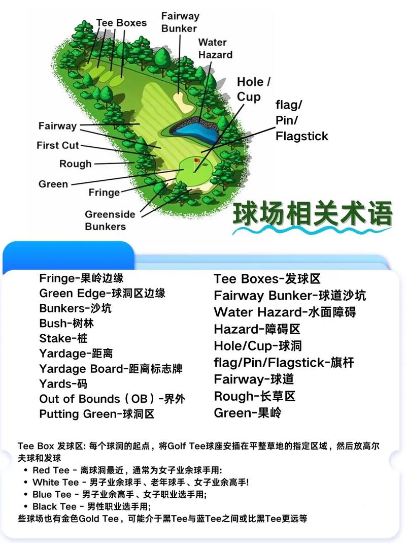 高尔夫的规则基础知识(高尔夫规则全解)