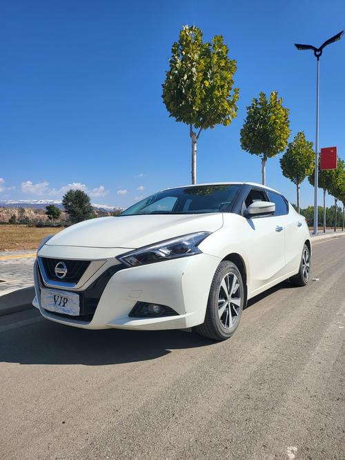 尼桑蓝鸟标志图片,尼桑蓝鸟车标图片