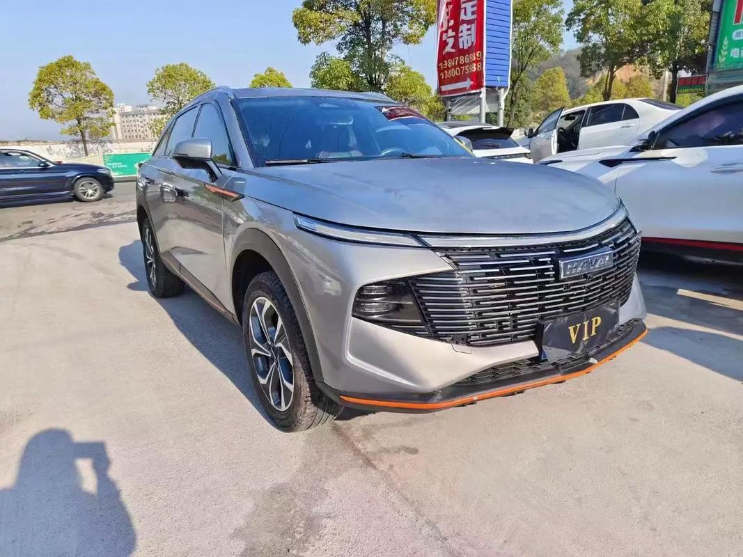 最新款哈弗神兽价格/2022款哈弗神兽