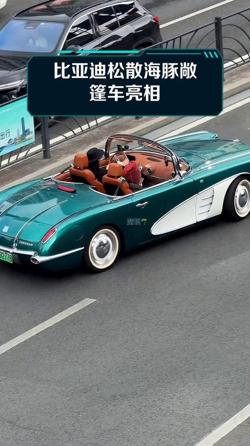 松散海豚汽车报价(松散海豚汽车怎么样)