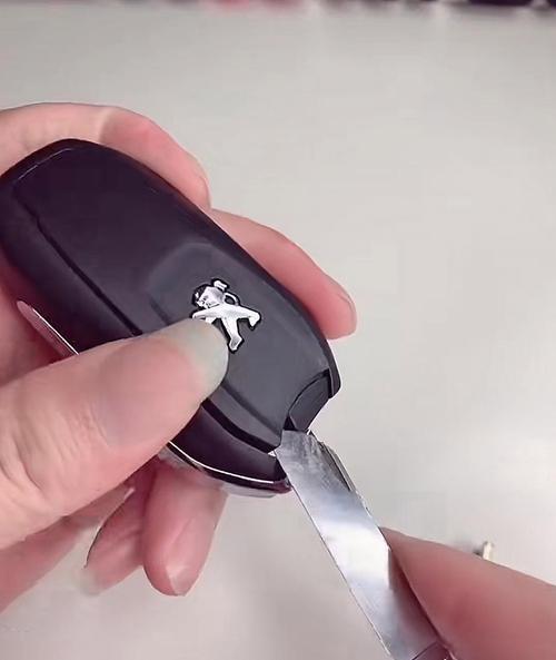 标致4008钥匙换电池图解(标致4008钥匙换电池图解电池)