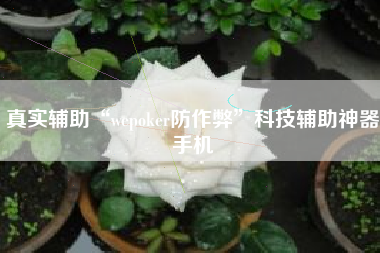 真实辅助“wepoker防作弊	”科技辅助神器手机