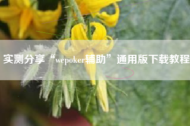 实测分享“wepoker辅助”通用版下载教程
