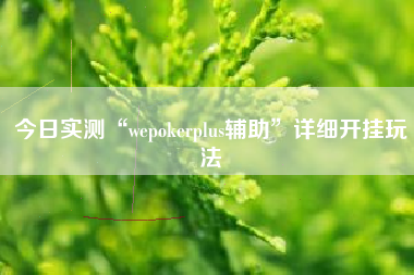 今日实测“wepokerplus辅助	”详细开挂玩法