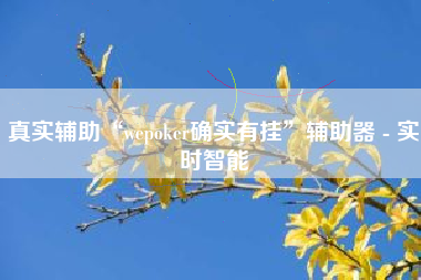 真实辅助“wepoker确实有挂	”辅助器 - 实时智能