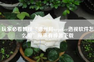 玩家必看教程“德州局wepoker透视软件怎么用”原来有神器下载