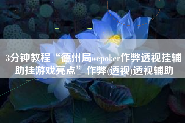3分钟教程“德州局wepoker作弊透视挂辅助挂游戏亮点”作弊(透视)透视辅助