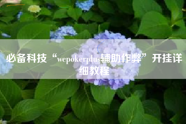 必备科技“wepokerplus辅助作弊	”开挂详细教程
