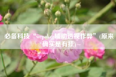 必备科技“wepoker辅助透视作弊”(原来确实是有挂)