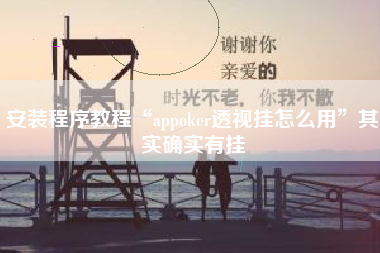 安装程序教程“appoker透视挂怎么用”其实确实有挂