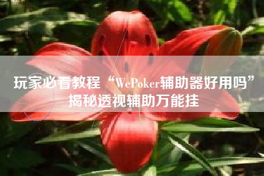 玩家必看教程“WePoker辅助器好用吗”揭秘透视辅助万能挂