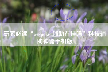 玩家必读“we-poker辅助有挂吗”科技辅助神器手机版