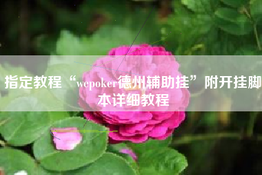 指定教程“wepoker德州辅助挂”附开挂脚本详细教程