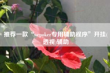推荐一款“wepoker专用辅助程序”开挂(透视)辅助
