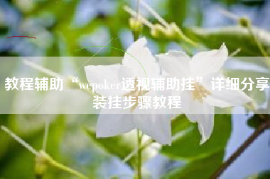 教程辅助“wepoker透视辅助挂”详细分享装挂步骤教程