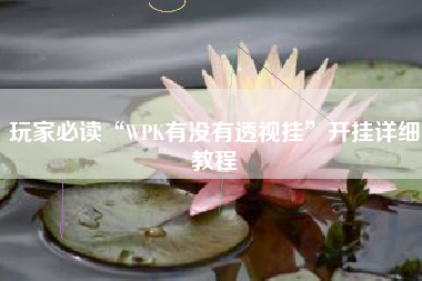 玩家必读“WPK有没有透视挂	”开挂详细教程