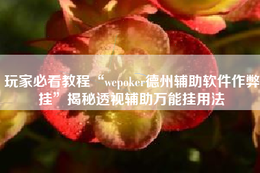 玩家必看教程“wepoker德州辅助软件作弊挂”揭秘透视辅助万能挂用法