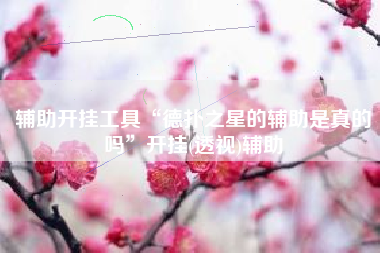 辅助开挂工具“德扑之星的辅助是真的吗	”开挂(透视)辅助