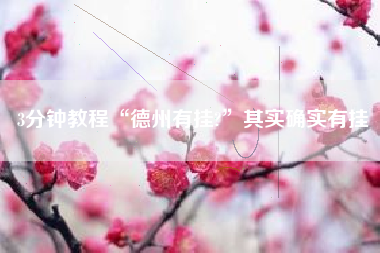 3分钟教程“德州有挂?”其实确实有挂