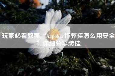 玩家必看教程“Aapoker作弊挂怎么用安全”详细分享装挂