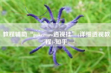 教程辅助“pokernow透视挂”(详细透视教程)-知乎