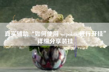 真实辅助“如何使用 wepoker 进行开挂”详细分享装挂