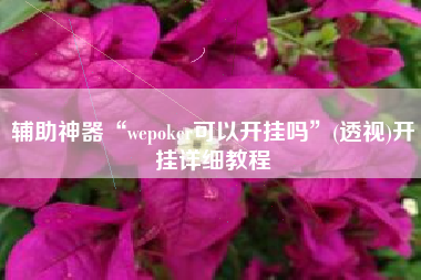 辅助神器“wepoker可以开挂吗”(透视)开挂详细教程