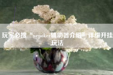 玩家必搜“wepoker辅助器介绍	”详细开挂玩法