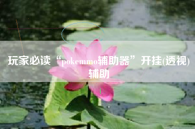 玩家必读“pokemmo辅助器”开挂(透视)辅助