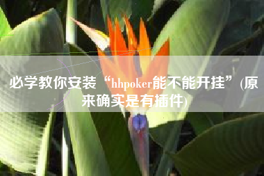 必学教你安装“hhpoker能不能开挂”(原来确实是有插件)