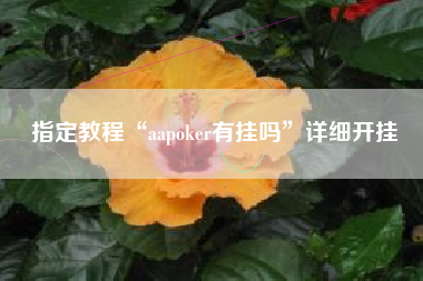 指定教程“aapoker有挂吗”详细开挂