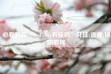 必看教程“WePoker有挂吗”开挂(透视)辅助教程