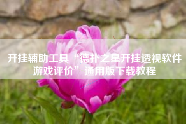 开挂辅助工具“德扑之星开挂透视软件游戏评价”通用版下载教程