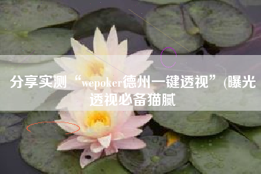 分享实测“wepoker德州一键透视”(曝光透视必备猫腻 分享实测“wepoker德州一键透视”(曝光透视必备猫腻