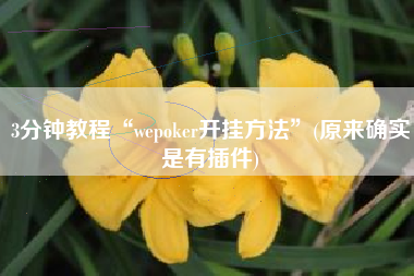 3分钟教程“wepoker开挂方法”(原来确实是有插件)