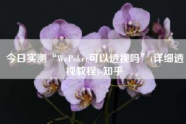 今日实测“WePoker可以透视吗”(详细透视教程)-知乎