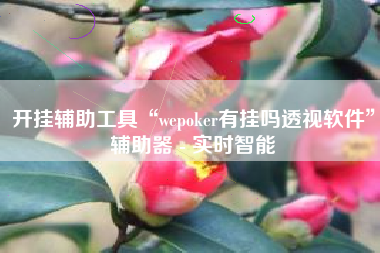 开挂辅助工具“wepoker有挂吗透视软件”辅助器 - 实时智能