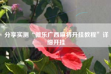分享实测“微乐广西麻将开挂教程”详细开挂