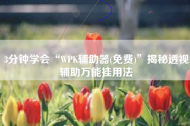 3分钟学会“WPK辅助器(免费)	”揭秘透视辅助万能挂用法