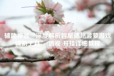 辅助神器“深度解析智星德州菠萝游戏辅助工具”(透视)开挂详细教程