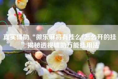 真实辅助“微乐麻将有挂么?怎么开的挂”揭秘透视辅助万能挂用法