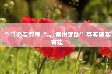 今日必看教程“wpk德州辅助	”其实确实有挂