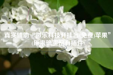 真实辅助“微乐科技开挂器(免费)苹果”(原来确实是有插件