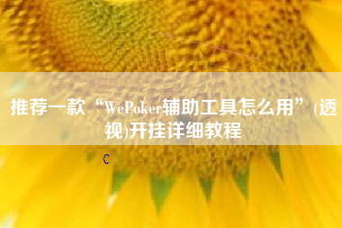 推荐一款“WePoker辅助工具怎么用”(透视)开挂详细教程