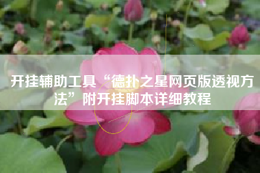 开挂辅助工具“德扑之星网页版透视方法”附开挂脚本详细教程