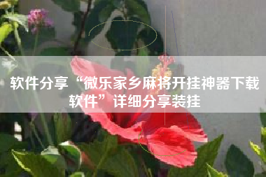 软件分享“微乐家乡麻将开挂神器下载软件	”详细分享装挂