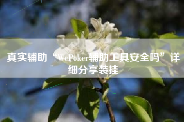真实辅助“WePoker辅助工具安全吗	”详细分享装挂