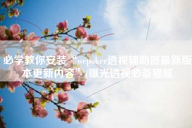 必学教你安装“wepoker透视辅助器最新版本更新内容”(曝光透视必备猫腻