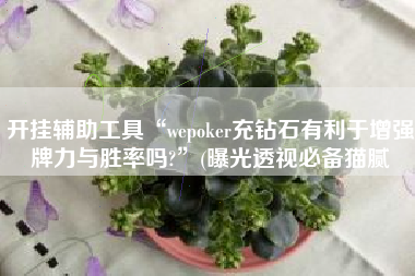 开挂辅助工具“wepoker充钻石有利于增强牌力与胜率吗?”(曝光透视必备猫腻
